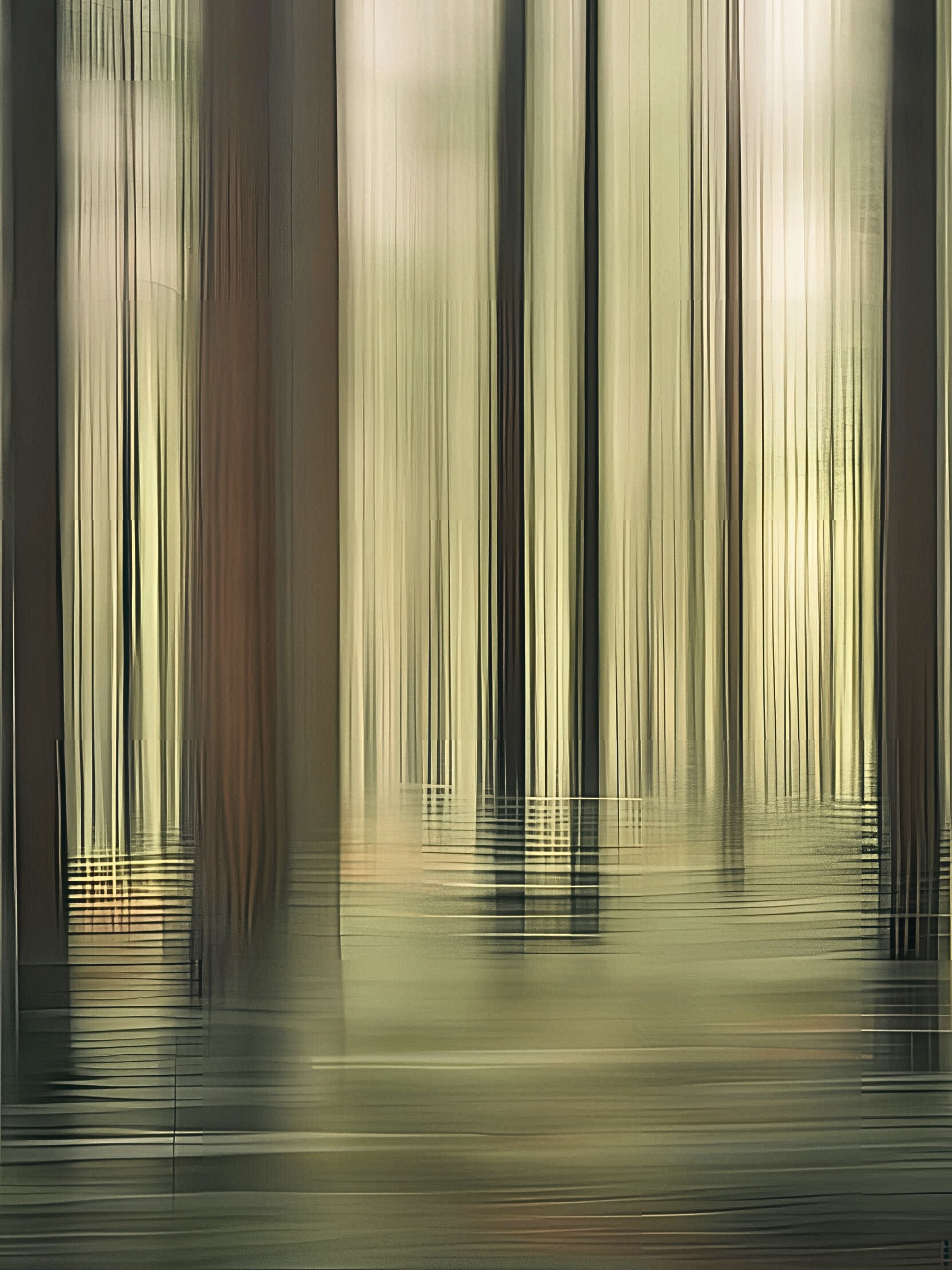 Misty Calm Abstract Forest