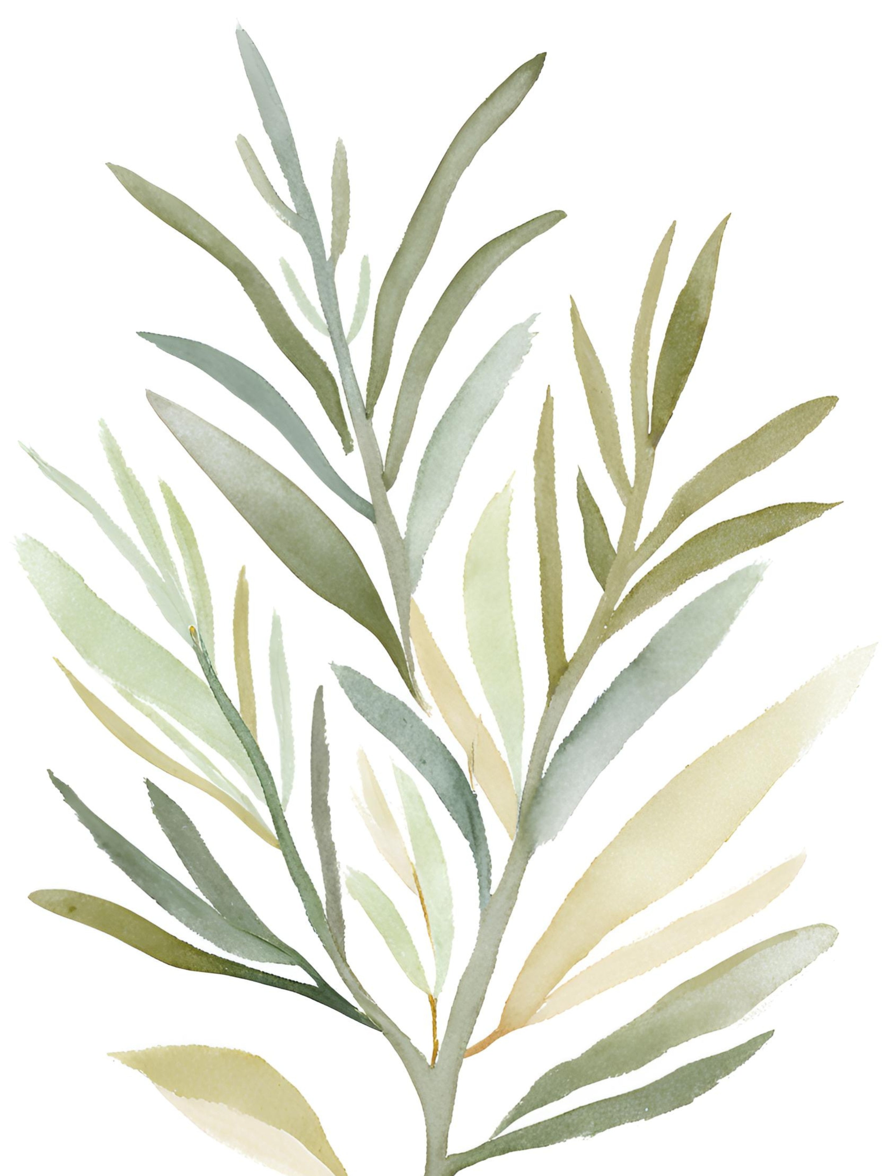 Olive Elegance Abstract Whispered